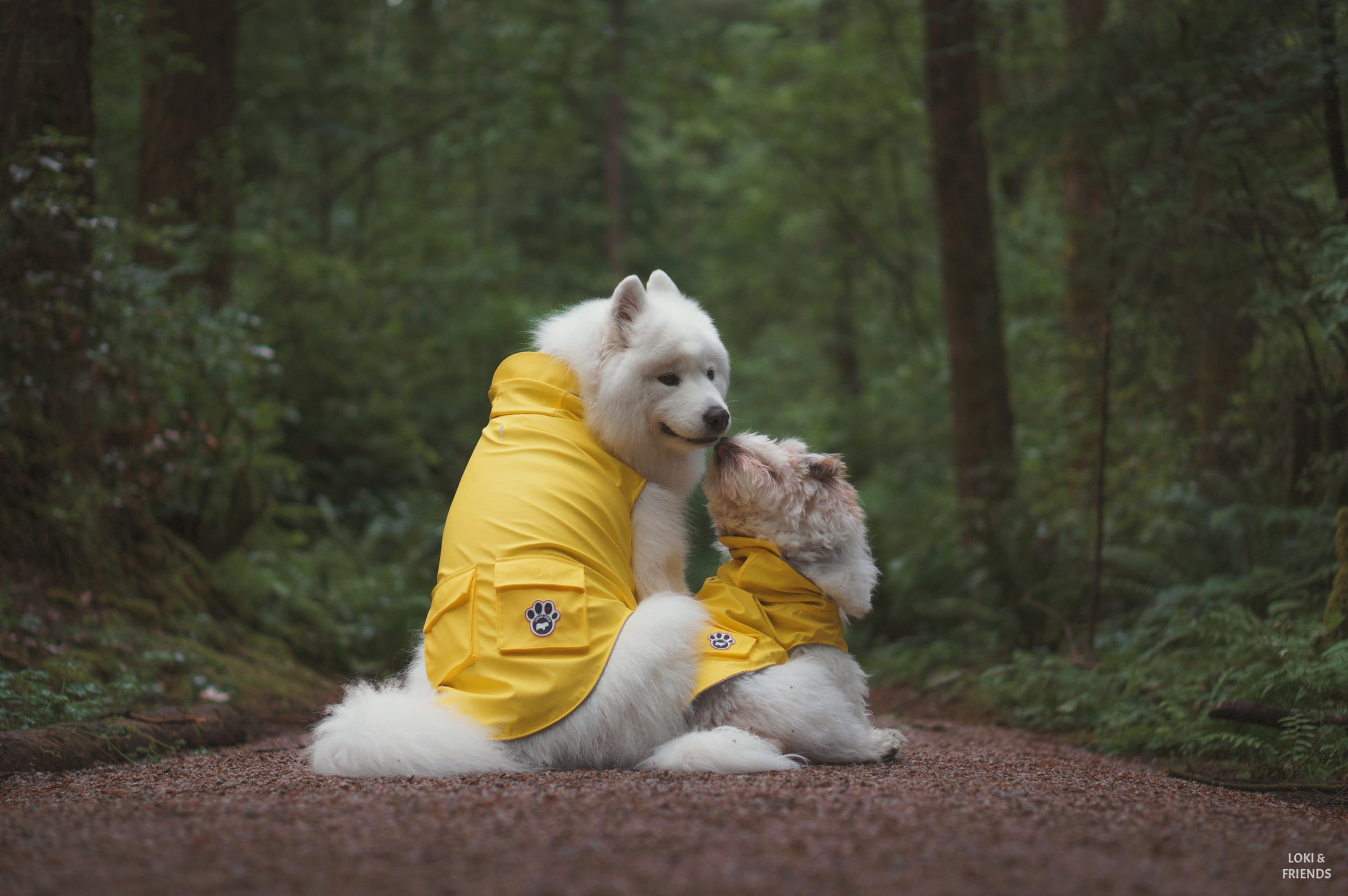 Canada outlet pooch raincoat