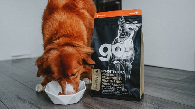 Dog Food Nourriture Chien Online Shop En ligne